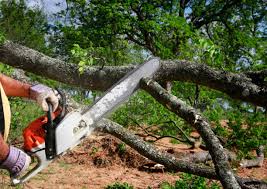 Best Lawn Dethatching  in Sappington, MO
